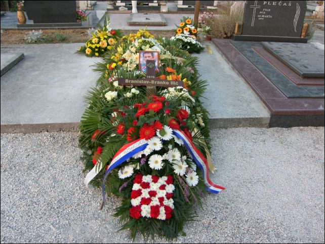 bispr (42)